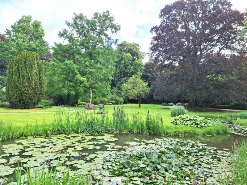 Plechelmus Saasveld tuin 02