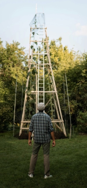 Amerikaan Alex Babich bij zijn wereldrecordhoudende zonnebloem
