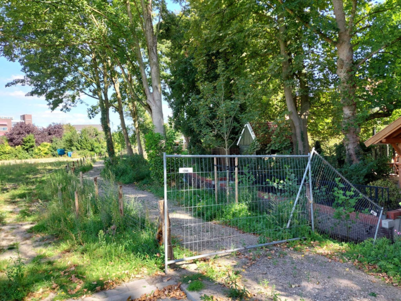 250822 drienerbeek pad dicht 2