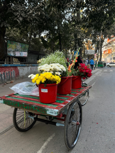 Pexels binita saha 2156982960 36159273