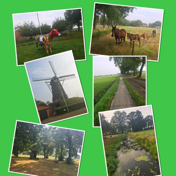 Whats App Image 2026 07 31 at 12 59 38 1