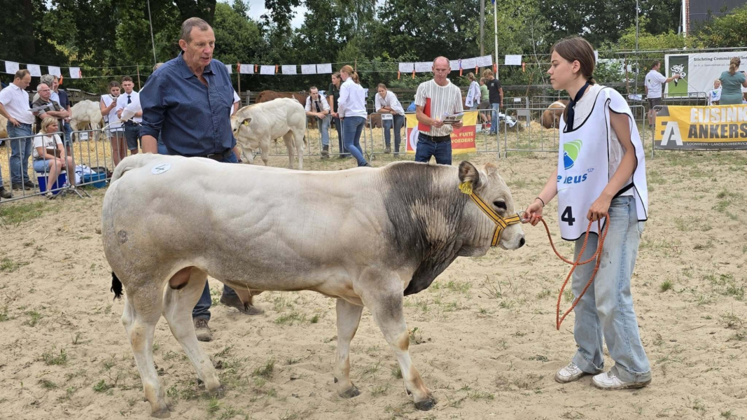 Vleesveekeuring Foto Henk Pluimers