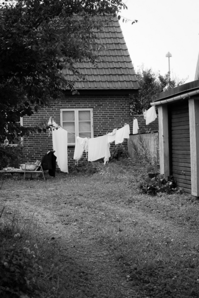 Pexels daniel licht nielsen 1759859033 28305030