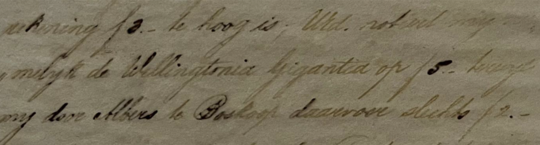 Ddetail briefwisseling GJ van Heek - D Wattez