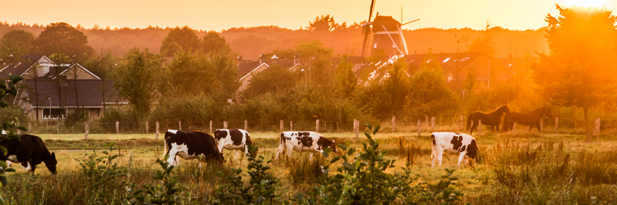 Twente Wordt Wakker